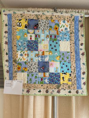 Quilt 48 by Charity Committee - Charming Baby Quilt