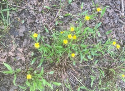 g13/62/900762/3/174628858.563043f3.JPEG