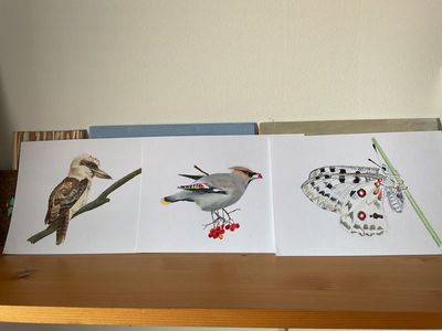 Recent creations