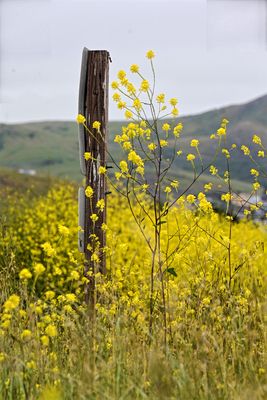 IMG_9164.jpeg