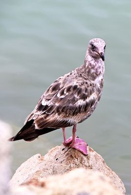 IMG_9576.jpeg
