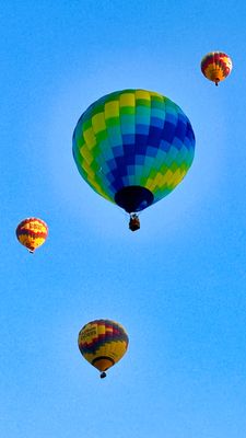 IMG_3695.jpeg