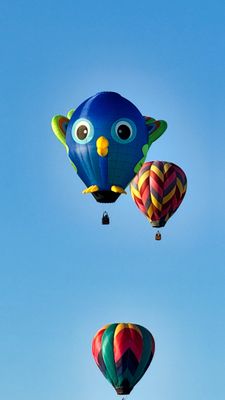 IMG_3699.jpeg