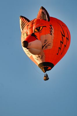 IMG_3718.jpeg
