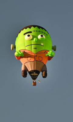 IMG_3720.jpeg