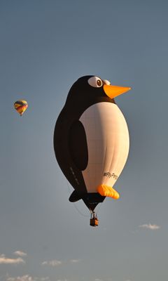 IMG_3722.jpeg