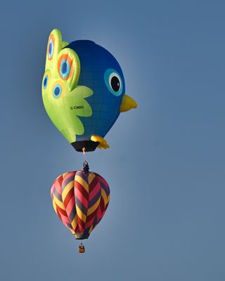 IMG_3724.jpeg