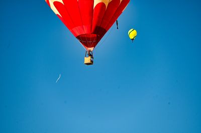 IMG_3736.jpeg