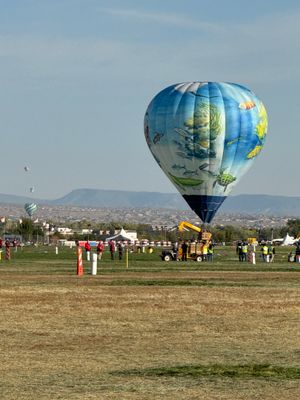 IMG_3883.jpeg