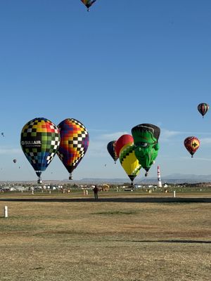 IMG_3878.jpeg
