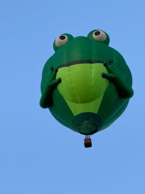 IMG_3852.jpeg