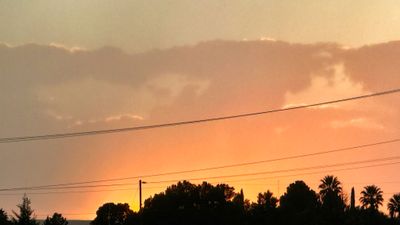 IMG_4174.jpeg