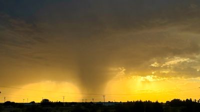 IMG_4176.jpeg