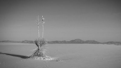 IMG_4051.jpeg