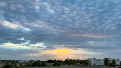 IMG_4180.jpeg