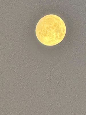 IMG_4182.jpeg
