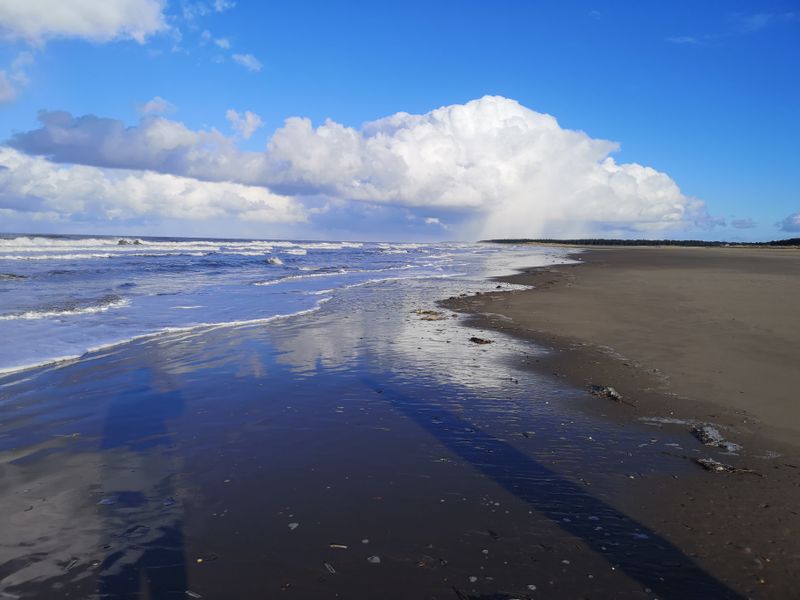 Towards Holkham Sands 
