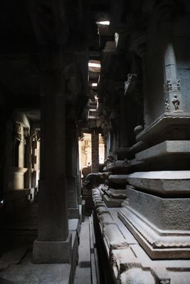 179A9558.jpg