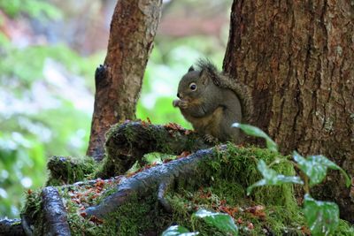 IMG_1363p.jpg