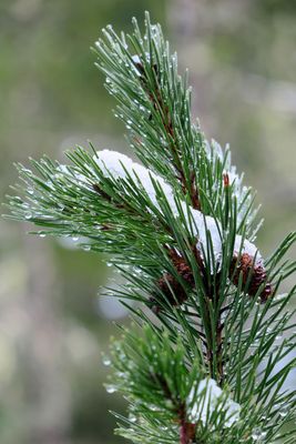 IMG_1369p.jpg