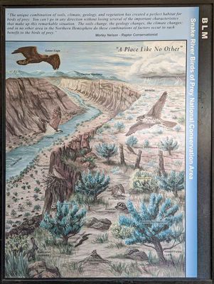 Birds of Prey and Snake River Overlook, Boise, Idaho  June 12, 2023
