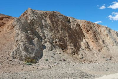 JCT05974p.jpg