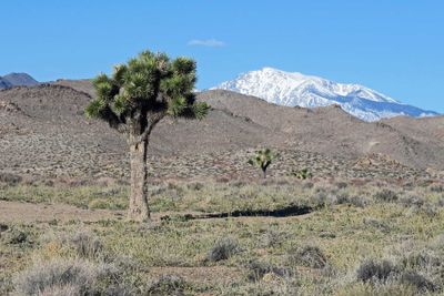 Death Valley National Park, March 17-19, 2024