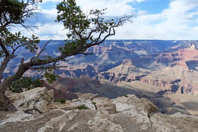 IMG_2360p.jpg