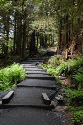 Sol Duc Falls 6-18-24