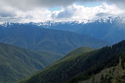 IMG_2617p.jpg