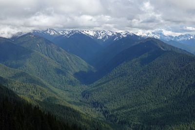 JCT06913p.jpg