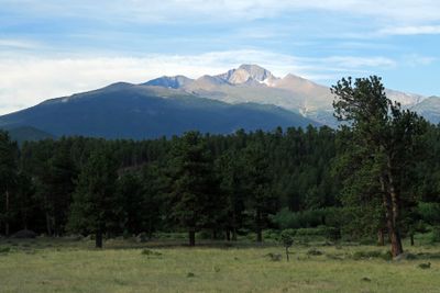 IMG_3466p.jpg