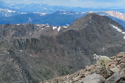 IMG_3592p.jpg