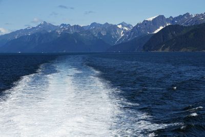 IMG_3781p.jpg