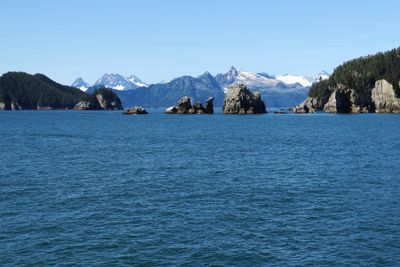 IMG_3792p.jpg