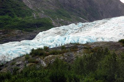 DSC_3450p.jpg