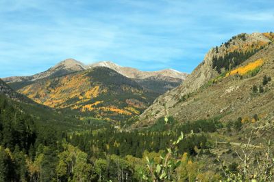IMG_4537p.jpg
