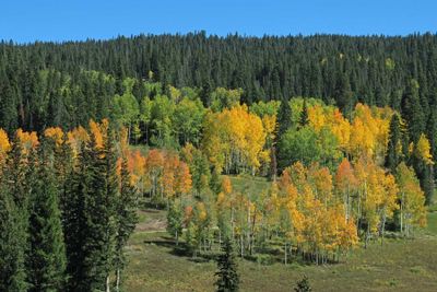 IMG_4575p.jpg