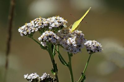 IMG_4682p.jpg