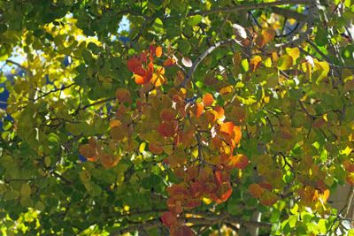 IMG_4713p.jpg