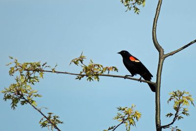 IMG_5011p.jpg