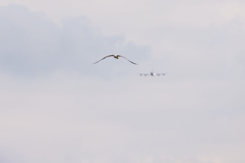 HH7A6015_2160.jpg