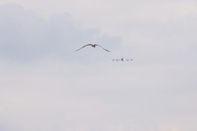 HH7A6015_2160.jpg