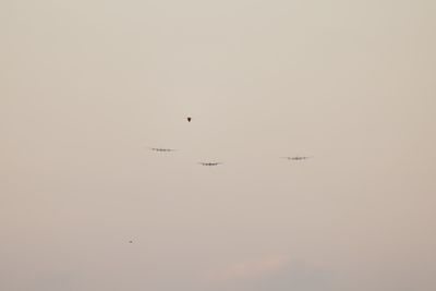 HH7A9433_2160.jpg