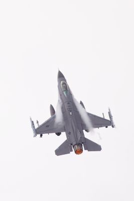 HH7A4699_2160.jpg