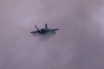 HH7A1174_2160.jpg