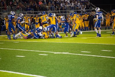 IMG_4383.jpg