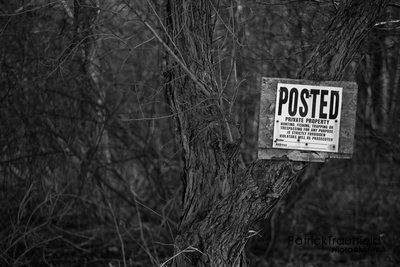 IMG_6773_e_bw.jpg