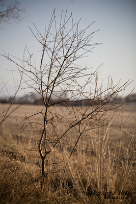 IMG_6791_e.jpg