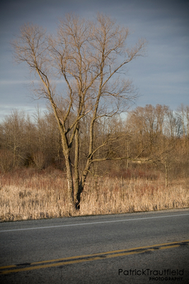 IMG_6836_e.jpg